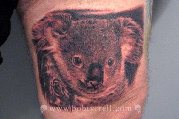Bush Warriors Tattoo of the Day: FABULOUS koala tattoo by Bob Tyrrell!