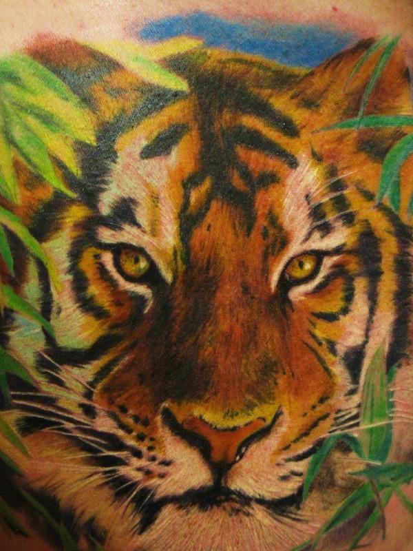 Tattoos are a fantastic way to show your committment to tiger conservation