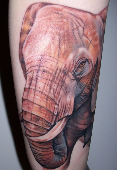elephant tattoo. Tattoo by Harley Kirkwood.