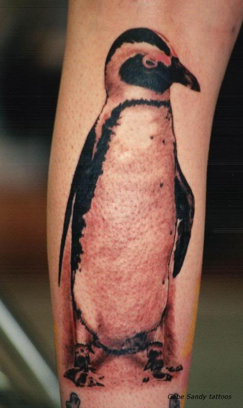 Tattoo by Gabe Sandy. The African Penguin's conservation status was recently 
