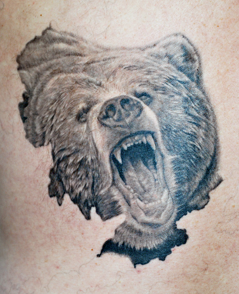 Grizzly bear and brown ear