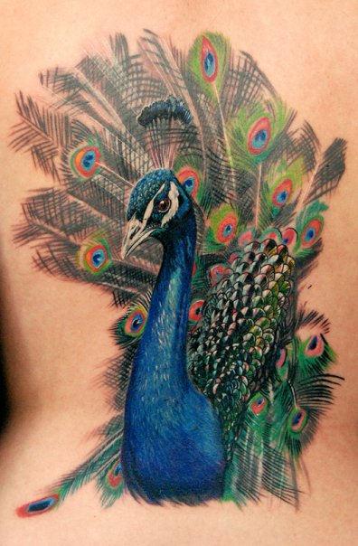 Tattoo by Phil Garcia Peacocks are colorful members of the pheasant family