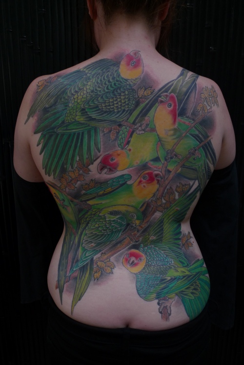 parrot tattoo. Tattoo by Stephanie Tamez.