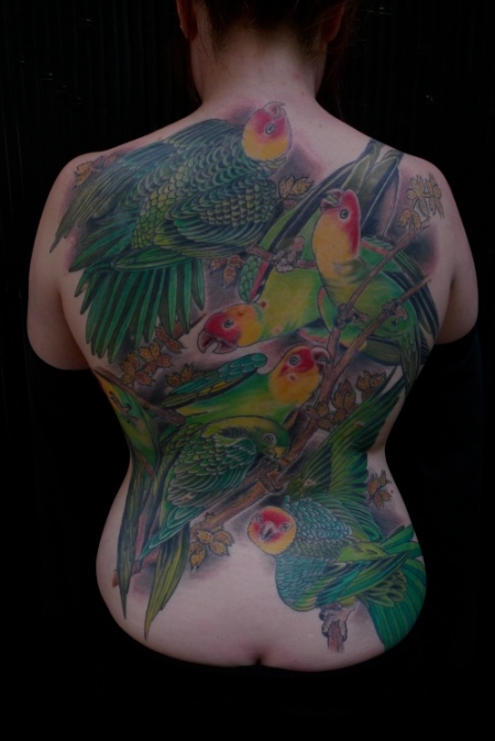 parrot tattoo. Tattoo by Don (owner) at Art