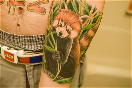 Tattoo by Jason Goldberg. The Red Panda is a small, arboreal, 