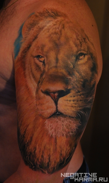 lion tattoo, lion facts, Negative Karma Tattoos, Den on January 3, 