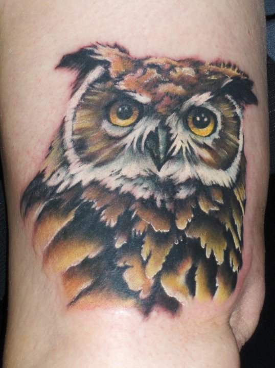 Tattoo by Mump Owls are a critical component of the ecosystem