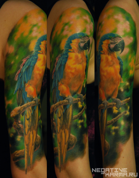 parrot tattoo. Tattoo by Den.