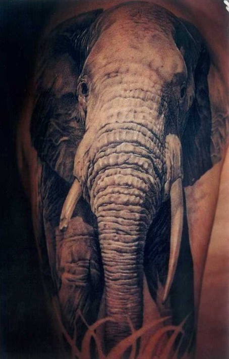elephant-tattoo-by-dmitriy-samohin1.jpg
